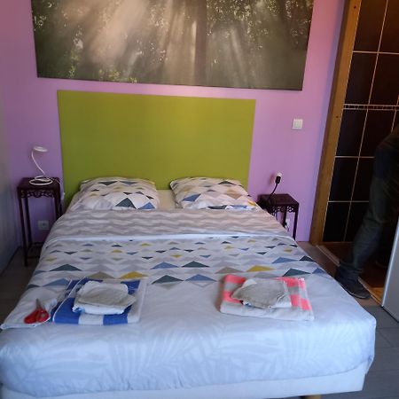 Petit Studio Parmi Les Pins Et Les Cypres مارسيليا المظهر الخارجي الصورة