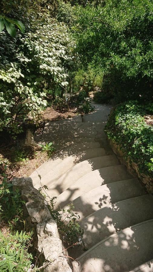 Petit Studio Parmi Les Pins Et Les Cypres مارسيليا المظهر الخارجي الصورة