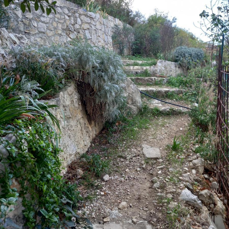 Petit Studio Parmi Les Pins Et Les Cypres مارسيليا المظهر الخارجي الصورة
