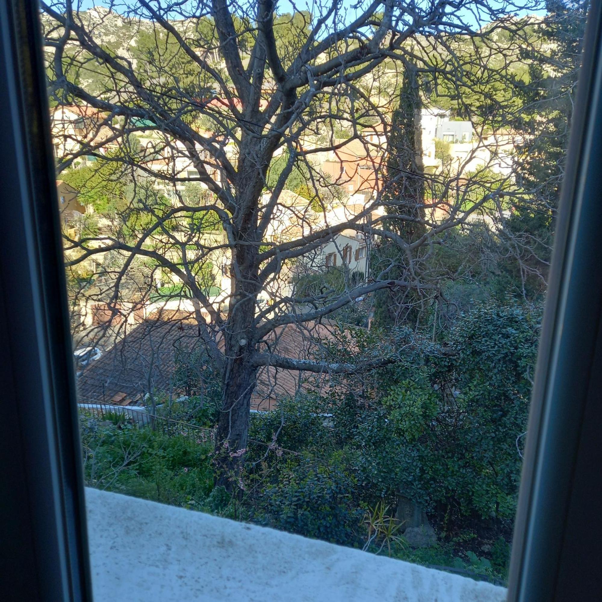 Petit Studio Parmi Les Pins Et Les Cypres مارسيليا المظهر الخارجي الصورة